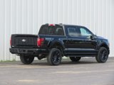 New 2025 Ford F150 Lariat w/ Equipment Group 501A Mid image 6