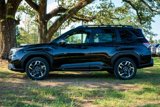 New 2025 Subaru Forester Limited image 2