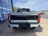 New 2025 Ford F250 Platinum image 5