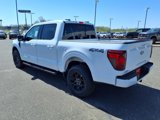 New 2025 Ford F150 XLT image 2