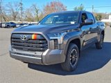 New 2025 Toyota Tundra SR5 image 2