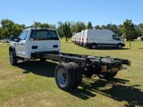 New 2025 Ford F550 2WD Regular Cab Super Duty image 5