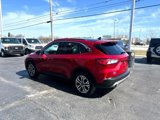 Used 2021 Ford Escape SEL image 3