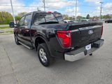 New 2025 Ford F150 XLT w/ Equipment Group 301A Standard image 3