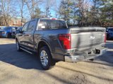 New 2025 Ford F150 XLT w/ Equipment Group 303A High image 4