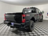 New 2025 Ford F250 Platinum image 3