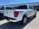 New 2025 Ford F150 XLT w/ Equipment Group 302A MID image 3