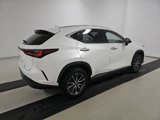 Used 2023 Lexus NX 350 AWD w/ Premium Package image 5