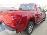 New 2024 Ford F150 XLT w/ Equipment Group 302A MID image 5