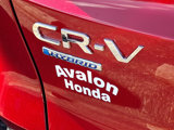 New 2025 Honda CR-V Sport-L image 6