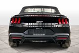 New 2025 Ford Mustang GT Premium image 4