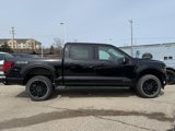 New 2025 Ford F150 XLT w/ Equipment Group 303A High image 2