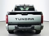 New 2025 Toyota Tundra Platinum image 5