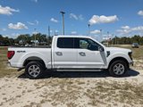 Used 2024 Ford F150 XLT w/ Equipment Group 302A MID image 3