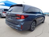 New 2025 Honda Odyssey Elite image 3