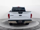 Used 2015 Ford F150 XLT w/ Equipment Group 301A Mid image 6