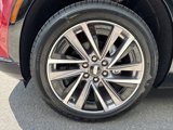 New 2026 Cadillac Vistiq Sport image 5