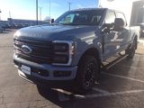 New 2025 Ford F250 Platinum image 3