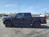 New 2025 Ford F150 STX w/ STX Black Appearance Package image 2