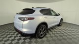 New 2025 Alfa Romeo Stelvio Sprint image 4