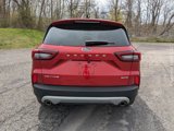 New 2025 Ford Escape Active w/ Cold Weather Package image 4