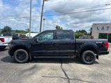 New 2025 Ford F150 XLT w/ Equipment Group 302A MID image 2