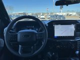 New 2025 Ford F150 STX w/ STX Black Appearance Package image 3