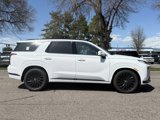 New 2025 Hyundai Palisade Calligraphy image 2