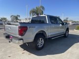 New 2025 Ford F150 XLT w/ Equipment Group 301A Standard image 5