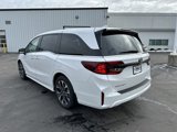 New 2025 Honda Odyssey Elite image 3
