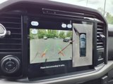 New 2025 Ford F150 XLT w/ Equipment Group 303A High image 6