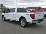 New 2025 Ford F150 XLT image 4