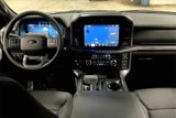 New 2025 Ford F150 XLT w/ Equipment Group 302A MID image 5