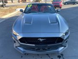 Used 2022 Ford Mustang GT Premium w/ GT Performance Package image 2