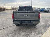 New 2025 Ford F150 XLT image 6