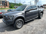 Used 2017 Ford F150 Raptor w/ Equipment Group 802A Luxury image 2