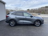 Used 2023 Ford Escape ST-Line image 6