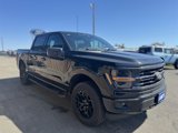 New 2025 Ford F150 XLT image 4