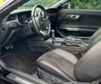 Used 2019 Ford Mustang GT Premium w/ Equipment Group 401A image 5