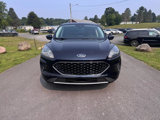 Used 2021 Ford Escape SE w/ Cold Weather Package image 2