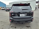 New 2025 Kia Telluride SX X-Line image 6