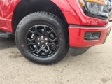 New 2025 Ford F150 XLT image 2
