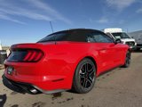 Used 2023 Ford Mustang Premium image 6