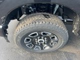 New 2025 Ford F250 Platinum image 4