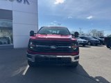 New 2025 Ford F150 XLT w/ Equipment Group 302A MID image 3
