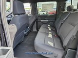 New 2025 Ford F150 XLT image 6