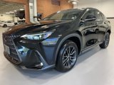 Used 2024 Lexus NX 350 AWD w/ Premium Package image 4