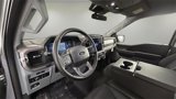 New 2025 Ford F150 XLT w/ Equipment Group 301A Standard image 6