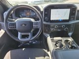 Used 2025 Ford F150 XLT w/ Equipment Group 302A MID image 4