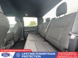 Certified 2023 Ford F150 XL w/ XL STX Apperance Package image 4